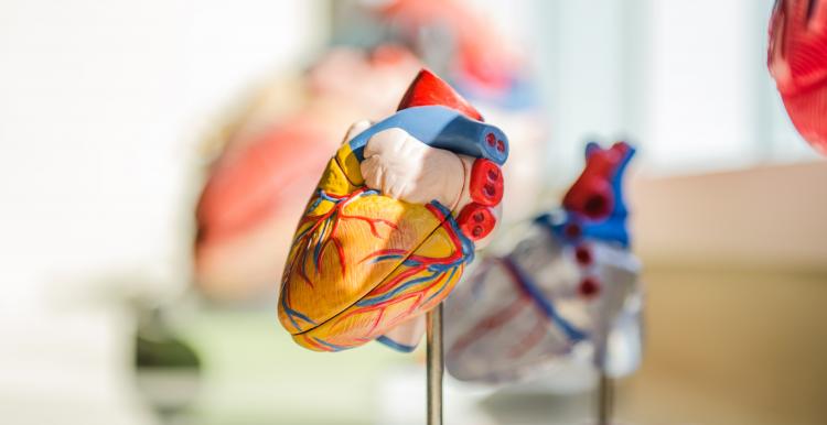 changes to cardiology services in West Kent