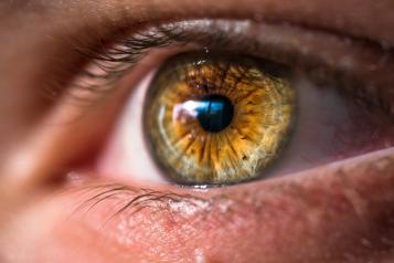 A close up of a hazel brown eye