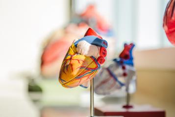 changes to cardiology services in West Kent